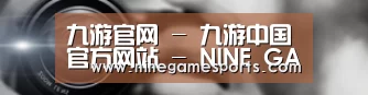 公司动态