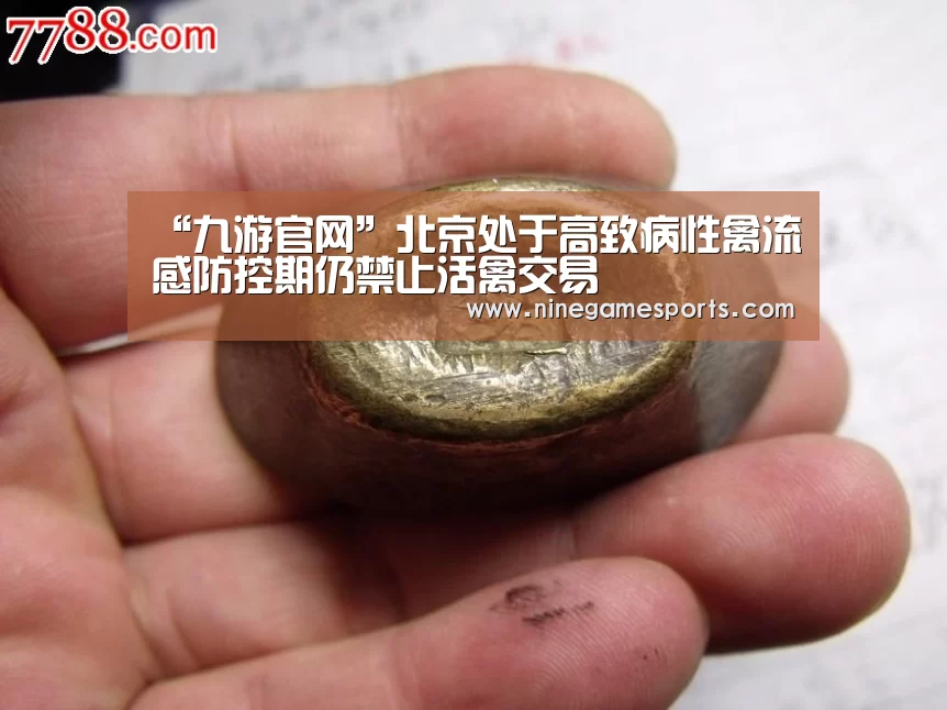 “九游官网”北京处于高致病性禽流感防控期仍禁止活禽交易(图1)