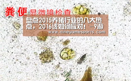 盘点2015养猪行业的八大热点,2016该如何应对!-9游官网(图2) 九游官网