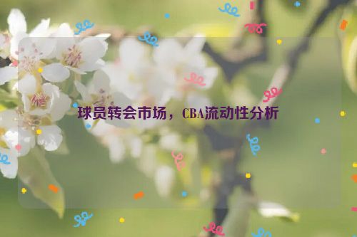 球员转会市场，CBA流动性分析