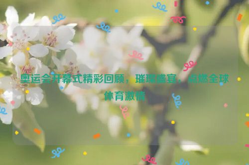 奥运会开幕式精彩回顾，璀璨盛宴，点燃全球体育激情