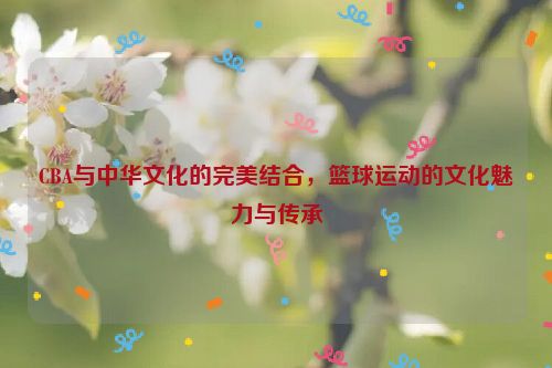 CBA与中华文化的完美结合，篮球运动的文化魅力与传承