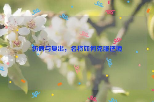 伤病与复出，名将如何克服逆境